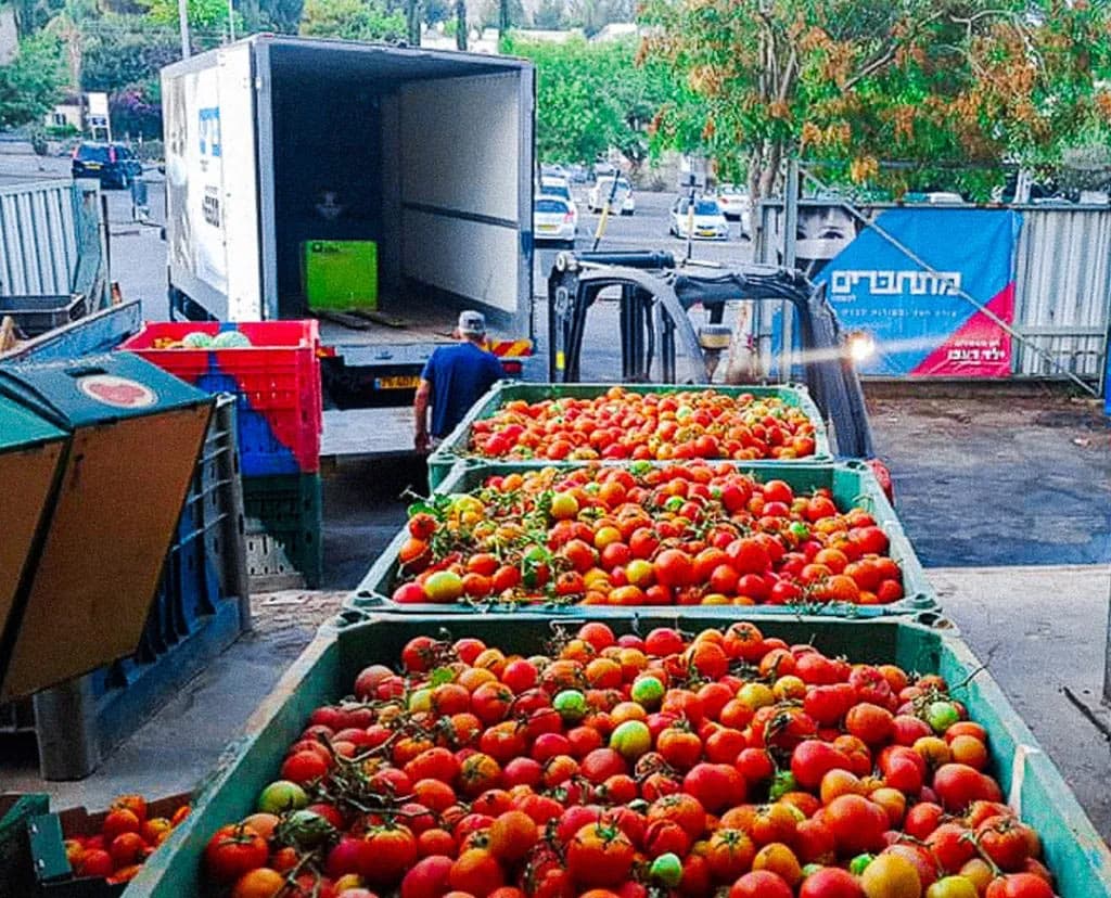 Tomates
